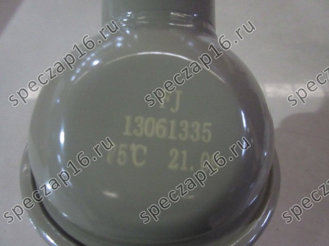 Термостат в корпусе WP6G125 new 75°